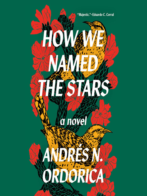 Title details for How We Named the Stars by Andrés N. Ordorica - Available